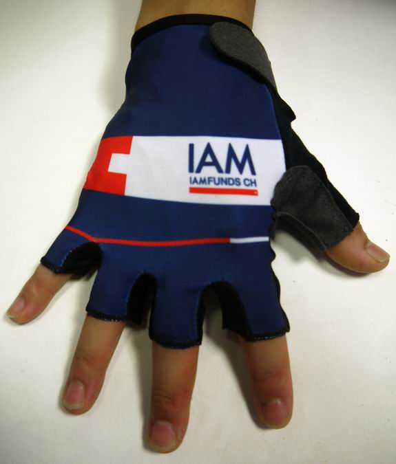 Handschoenen IAM 2015 blauw